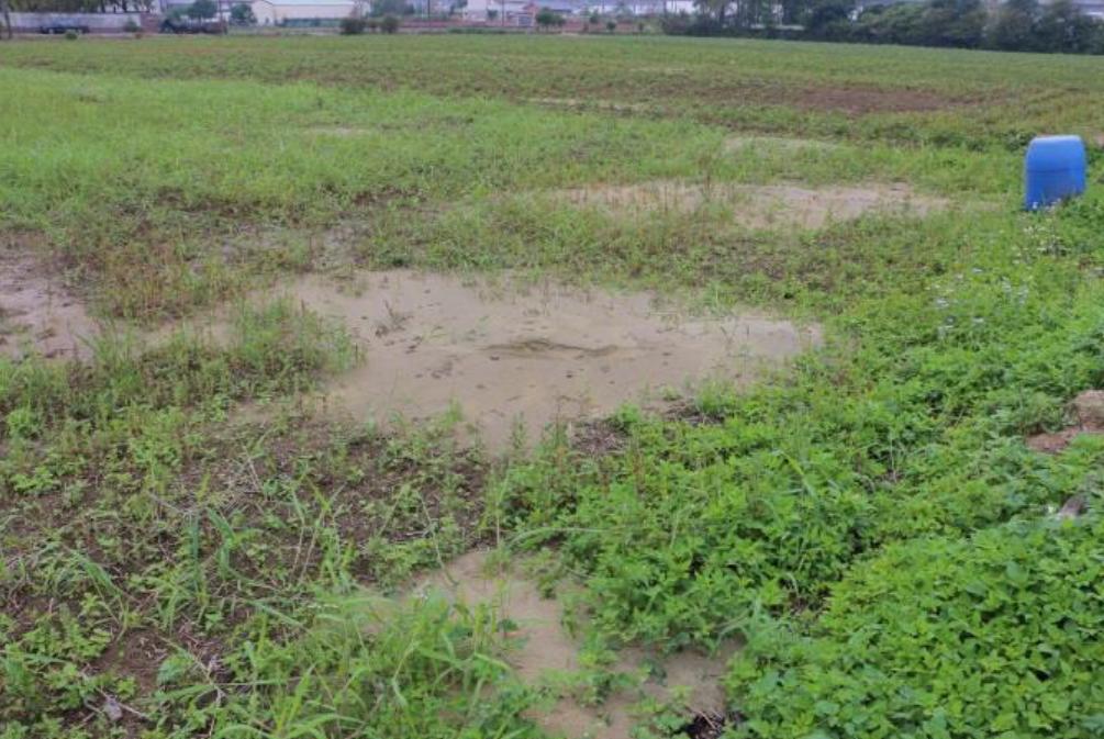 臺南市新化區北勢里普賢院一帶發生的群聚性噴砂現象。(根據中央地質調查所, 2016)